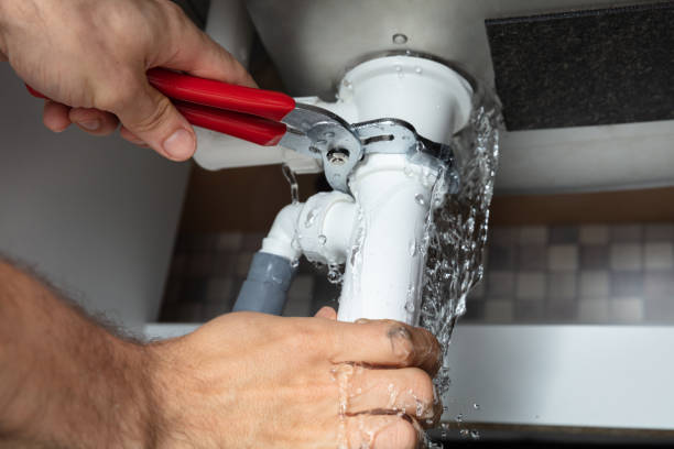 Best Flood damage cleanup  in Statesboro, GA