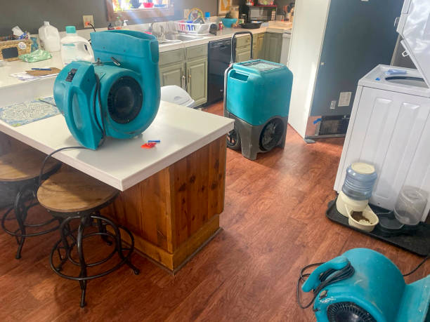 Best Flood restoration services  in Statesboro, GA