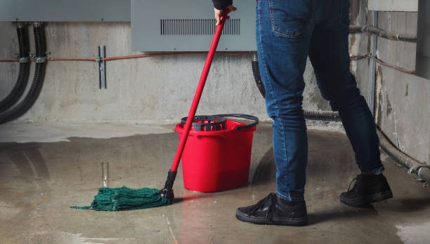 Best Sewage cleanup and water damage restoration  in Statesboro, GA