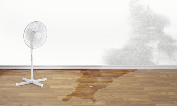 Best Sewage cleanup and water damage restoration  in Statesboro, GA