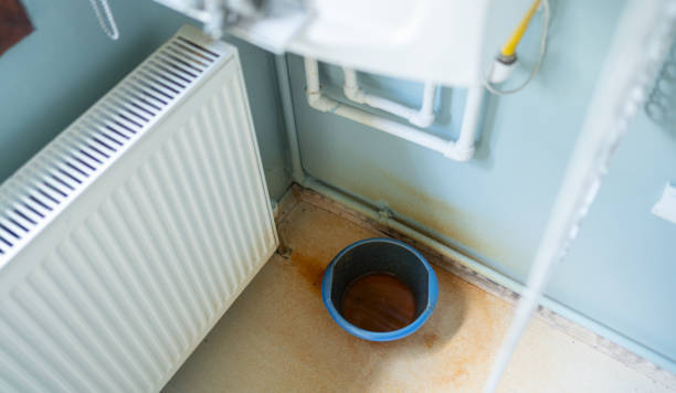 Best Flood restoration services  in Statesboro, GA