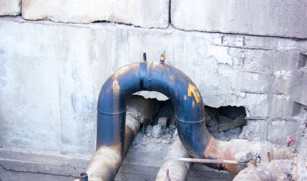 Best Ceiling water damage repair  in Statesboro, GA