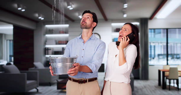 Best Carpet water damage restoration  in Statesboro, GA