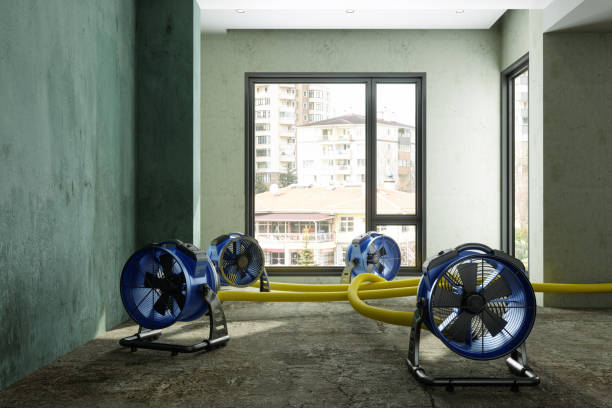 Best Water damage restoration services  in Statesboro, GA